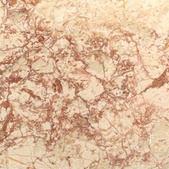 Rosalia Dark