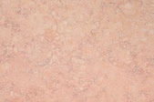 Sunny Pink
