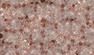 Pink Quartz