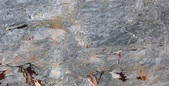 Brecia Versaille