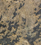 Autumn Rustic