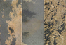Autumn Rustic