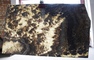 Black Cloud