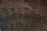 Emperador Dark