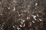 Emperador Dark