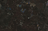 Brown Antique