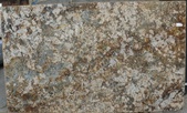 Latin Beige