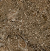 Rasotica