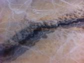 Onyx Alabastro