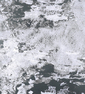 South Grey (прозрачный)