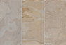 Tan White