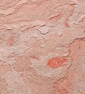 Terra Red