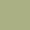 Снимаемые с производства - Serpentine Green (1)