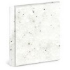 Aster - G004 White Quartz